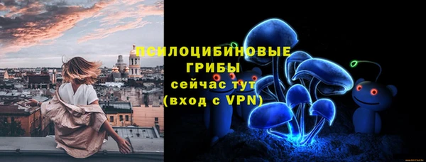 mix Пересвет