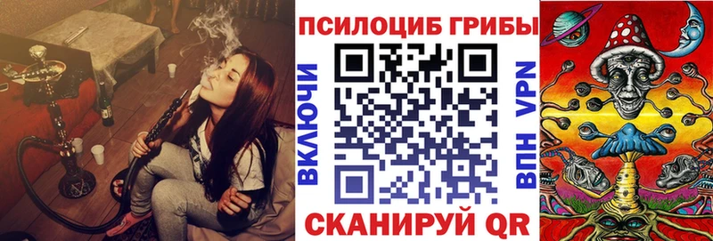Псилоцибиновые грибы мицелий как найти наркотики Узловая